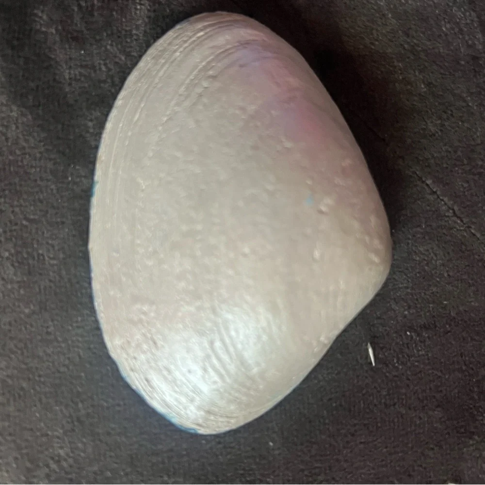 Hand-Painted Seashell Art with Beach Scene - Picture 2 of 3